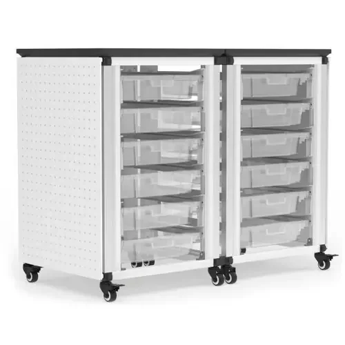 Modular Classroom Storage Cabinet Two Side by Side Modules with 12 Small Bins – Luxor MBS-STR-21-12S