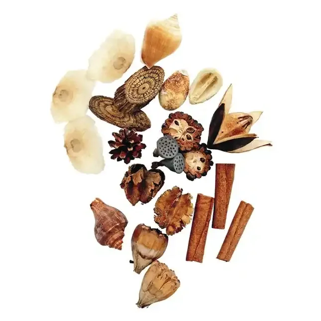 Natural Specimens – 12 Types